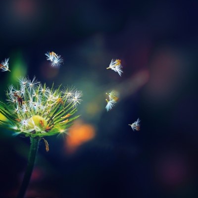 1920 x 1080 HD Wallpapers 3196